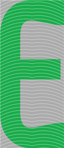 NBA and Team-QD 2024